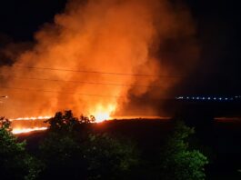 Incendio en Móstoles tras arder una zona de campo cerca de Los Combos Incendio en Móstoles tras arder una zona de campo cerca de Los Combos