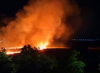Incendio en Móstoles tras arder una zona de campo cerca de Los Combos Incendio en Móstoles tras arder una zona de campo cerca de Los Combos
