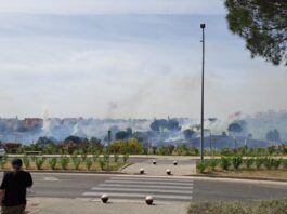 El PSOE de Móstoles exige revisar las actuaciones de prevención de incendios tras el fuego en Parque Coimbra El PSOE de Móstoles exige revisar las actuaciones de prevención de incendios tras el fuego en Parque Coimbra