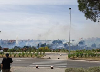 El PSOE de Móstoles exige revisar las actuaciones de prevención de incendios tras el fuego en Parque Coimbra El PSOE de Móstoles exige revisar las actuaciones de prevención de incendios tras el fuego en Parque Coimbra