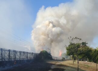 Un incendio en la C-5 corta la circulación de trenes durante una hora: asà afectó a los vecinos de Móstoles Un incendio en la C-5 corta la circulación de trenes durante una hora: asà afectó a los vecinos de Móstoles