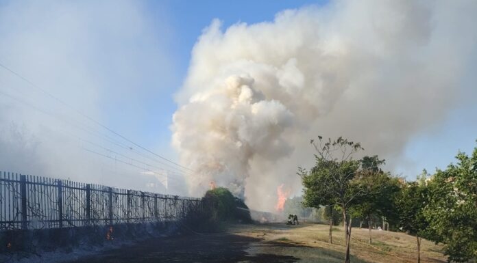 Un incendio en la C-5 corta la circulación de trenes durante una hora: asà afectó a los vecinos de Móstoles Un incendio en la C-5 corta la circulación de trenes durante una hora: asà afectó a los vecinos de Móstoles