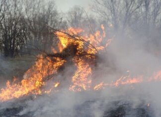 ¿Quién anda ah� Móstoles. El fuego ¿Quién anda ah� Móstoles. El fuego