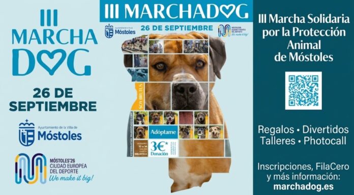 Plan con mascotas en Móstoles: vuelve la Marcha Dog con su III edición este mes de septiembre Plan con mascotas en Móstoles: vuelve la Marcha Dog con su III edición este mes de septiembre