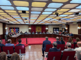 Aplazado el Pleno de Móstoles tras el desvanecimiento del portavoz adjunto del PSOE, Álex Martín Aplazado el Pleno de Móstoles tras el desvanecimiento del portavoz adjunto del PSOE, Álex Martín