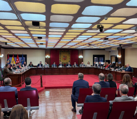 Aplazado el Pleno de Móstoles tras el desvanecimiento del portavoz adjunto del PSOE, Álex Martín Aplazado el Pleno de Móstoles tras el desvanecimiento del portavoz adjunto del PSOE, Álex Martín
