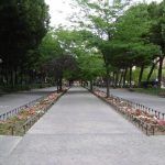 parque-liana-mostoles