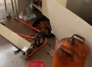 Explosión por fuga de gas butano en Móstoles Explosión por fuga de gas butano en Móstoles