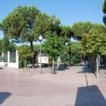 Móstoles planta cara a la oruga procesionaria