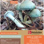 La Sociedad Micológica de Móstoles y el Ayuntamiento organizan un curso de iniciación micológica. En Móstoles nos vamos a por setas.