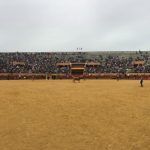 Vox Móstoles apuesta por recuperar los toros en las Fiestas de Mayo