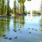 Agenda de Ocio de Móstoles del 15 al 17 de octubre