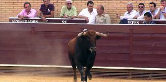 Vox Móstoles apuesta por recuperar los toros en las Fiestas de Mayo