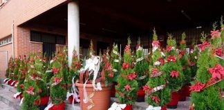 En Móstoles ‘La Navidad está en tu barrio’