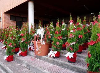 En Móstoles ‘La Navidad está en tu barrio’