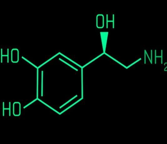 Hoy en la consulta del fisio: Noradrenalina y estrés