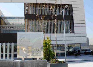 El Vivero de Empresas de Móstoles modelo internacional de emprendimiento