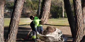 Inserción laboral en jardinería y educación en Móstoles