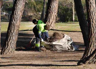 Inserción laboral en jardinería y educación en Móstoles