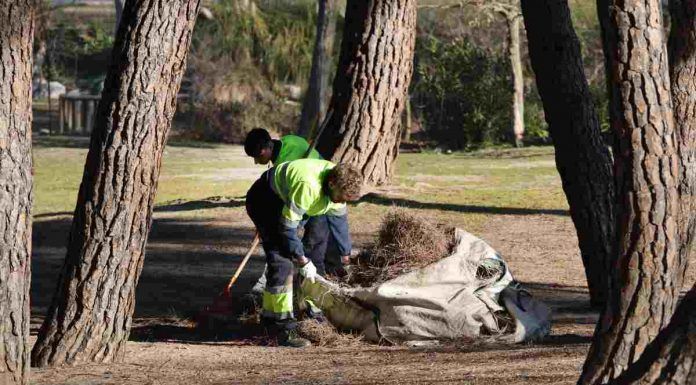 Inserción laboral en jardinería y educación en Móstoles