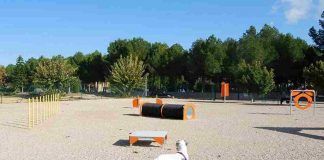 Más Madrid Ganar Móstoles propone parques de ocio canino