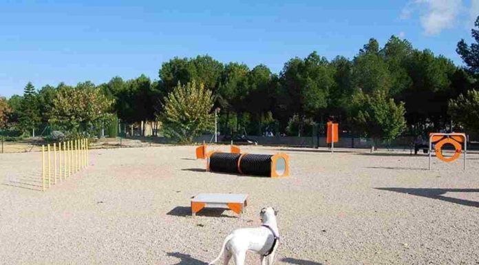 Más Madrid Ganar Móstoles propone parques de ocio canino