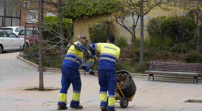 Móstoles plantará más de 1.700 árboles en 2022