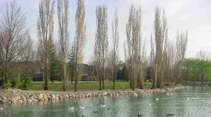 Móstoles cierra el Parque de El Soto