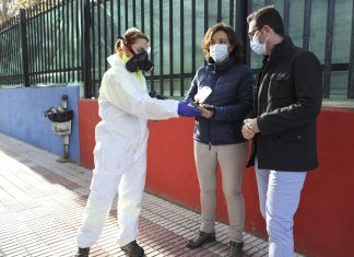 El Gobierno de Móstoles comienza los trabajos para prevenir y combatir la galeruca del olmo