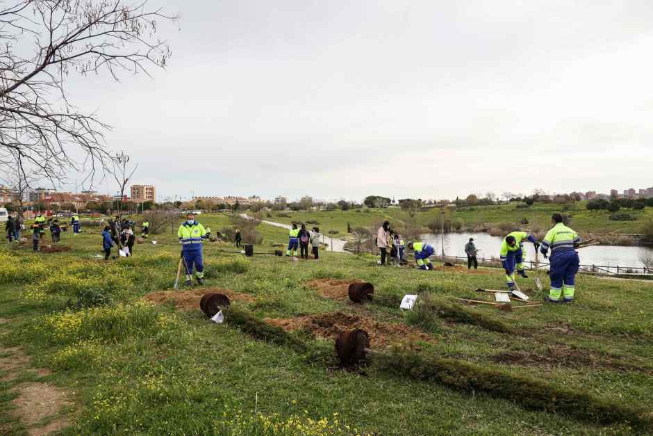 Los alumnos del CEIP Príncipe de Asturias de Móstoles plantan 400 árboles