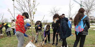 Los alumnos del CEIP Príncipe de Asturias de Móstoles plantan 400 árboles