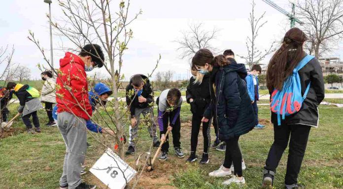 Los alumnos del CEIP Príncipe de Asturias de Móstoles plantan 400 árboles