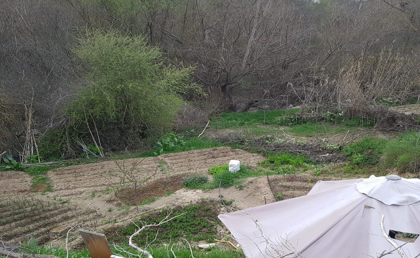 Tres personas identificadas por la Policía de Móstoles usan terrenos protegidos del Río Guadarrama