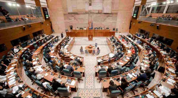 Noelia Posse en la Asamblea de Madrid para pedir la Línea 10 de Metro