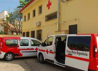 Formando a jóvenes y cuidando el medio ambiente en Móstoles