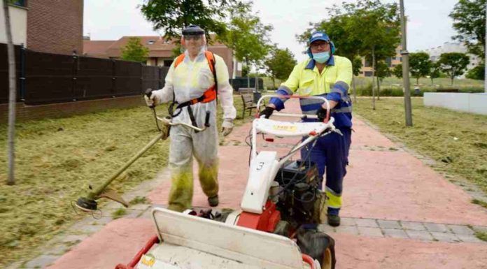 Desbroce, reparación y construcción de pista de fútbol en Móstoles