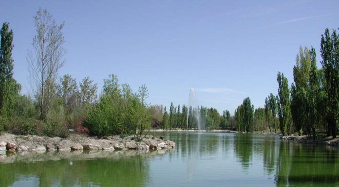El cambio climático y el calor marcan las propuestas de Más Madrid en Móstoles