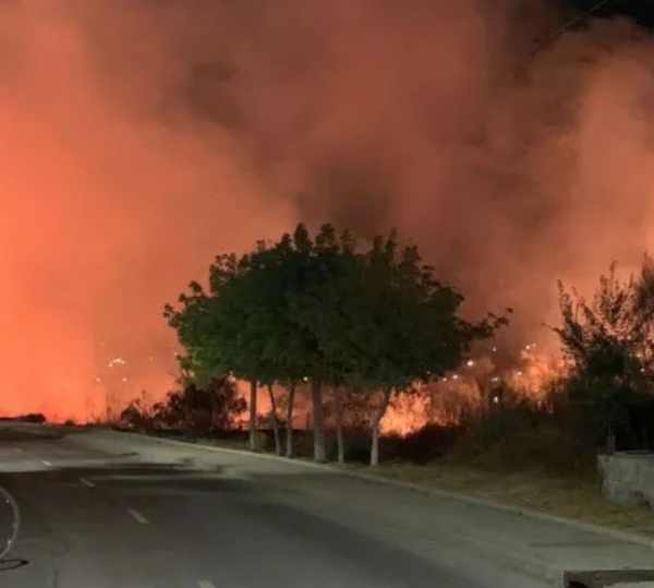 El PP de Móstoles alerta sobre el Plan Especial contra incendios en Parque Coimbra-Guadarrama