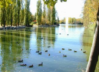 El Partido Popular propone renovar parques y jardines de Móstoles