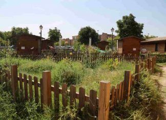 Más de una veintena de huertos de ocio en Móstoles