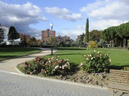 El primer baile del verano para mayores en Móstoles