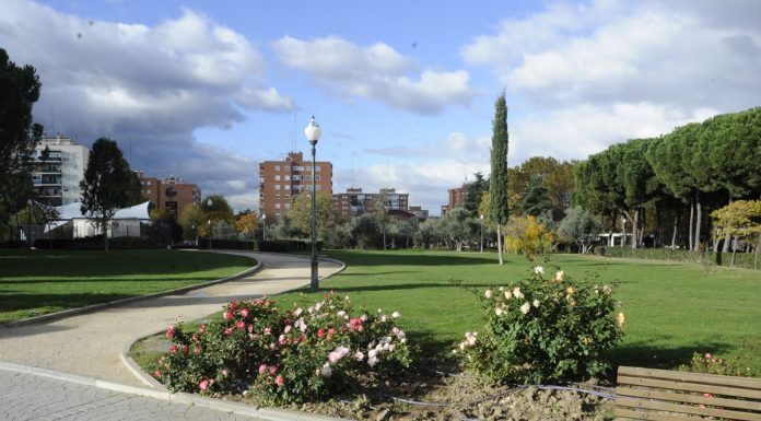 El primer baile del verano para mayores en Móstoles