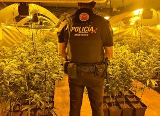 Precintan un punto de venta de cannabis en Móstoles