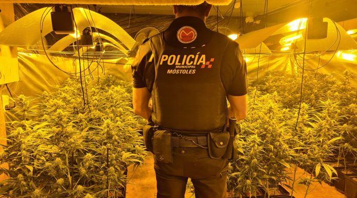 Precintan un punto de venta de cannabis en Móstoles