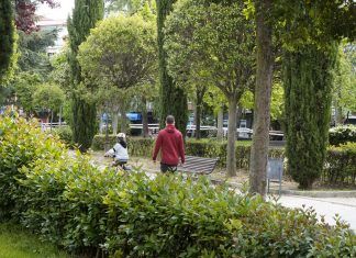 El Ayuntamiento de Móstoles inicia un nuevo plan para mantener limpio el municipio
