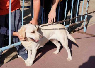 Lula, la nueva agente de la Policía Municipal de Móstoles