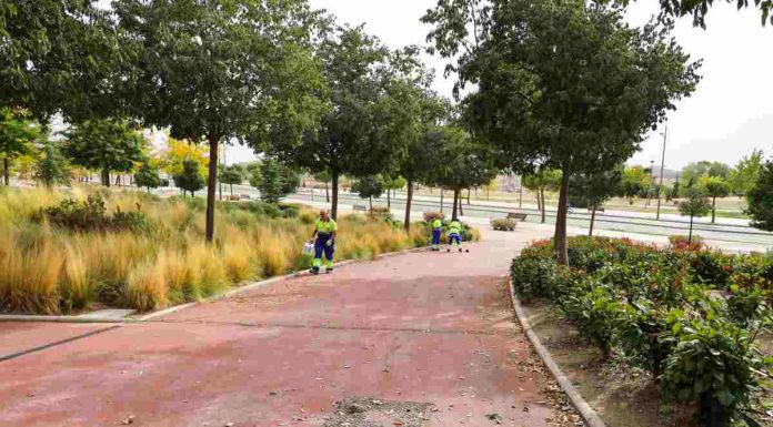 Móstoles refuerza el mantenimiento de las zonas verdes de la localidad