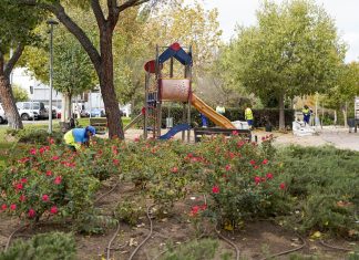 Continúan los trabajos de mantenimiento de parques y jardines en Móstoles