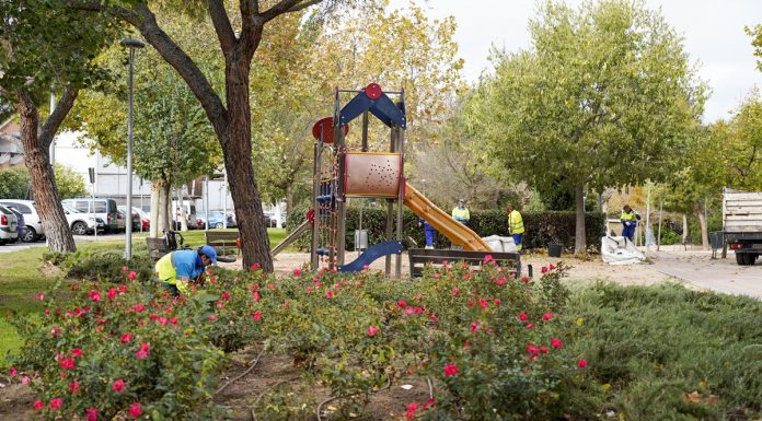 Continúan los trabajos de mantenimiento de parques y jardines en Móstoles