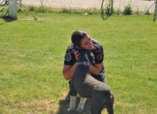 Finaliza la campaña intensa de vigilancia de la Policía en Móstoles